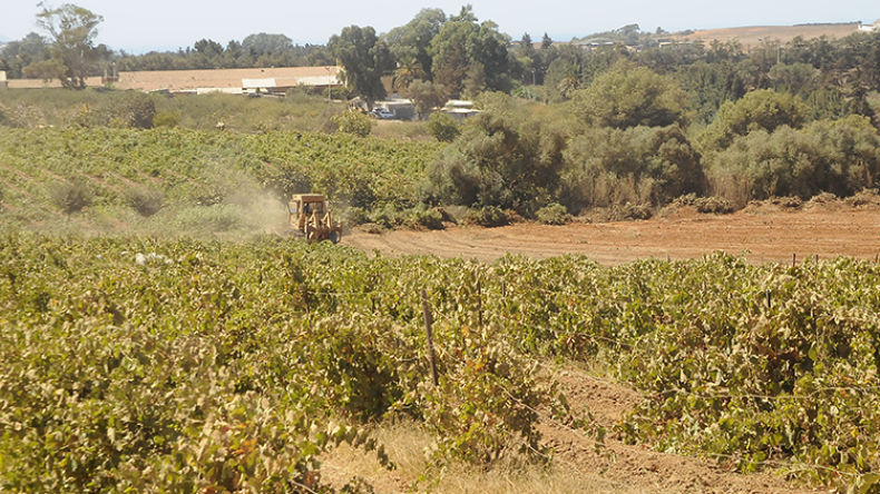 شركات تبيع مبيدات لا علاقة لها بالزراعة.. وهذه حقيقة إرجاع المنتجات