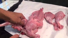 الأرانب تعوّض اللحوم الحمراء على موائد الإفطار في تيسمسيلت