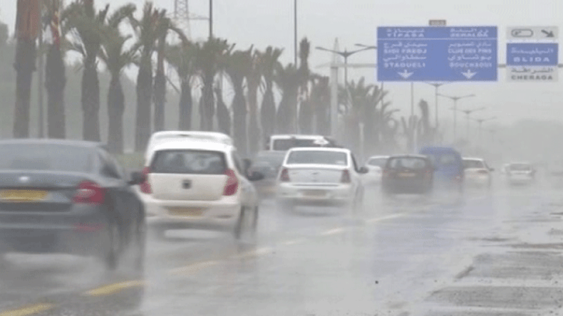 نشرية تحذر من أمطار ورعود في 19 ولاية