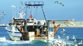 هلاك صياد ثمانيني وبتر يد آخر في مستغانم