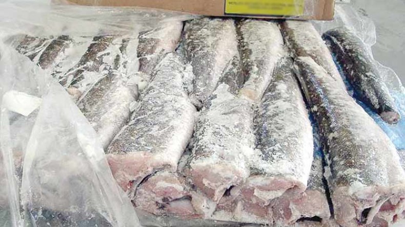 حجز 3 قناطير من اللحوم والأسماك المجمدة منتهية الصلاحية بقسنطينة