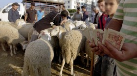 احذروا.. نقود مزورة تتداول في أسواق المواشي