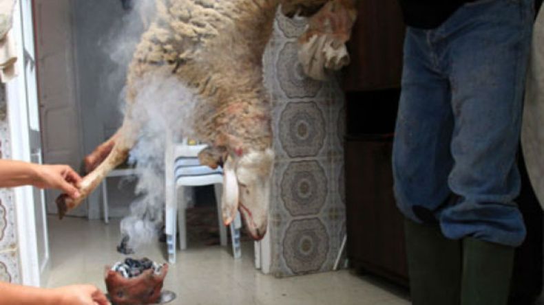 عظم الكتف لرصد الطقس وأنباء الموسم الفلاحي والدم للتخلص من العنوسة والعقم