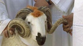 لا تأكلوا الشُّوك بفم العلم !