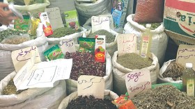 محتالون يروجون لوصفات تقليدية لعلاج الكوليرا