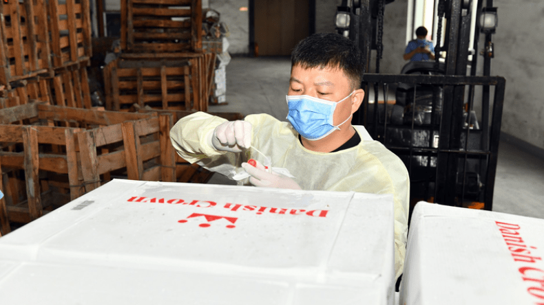 وزارة النقل الصينية: كورونا ينتقل من خلال الأغذية المبردة المستوردة