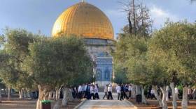 شاهد.. مئات المستوطنين يقتحمون الأقصى