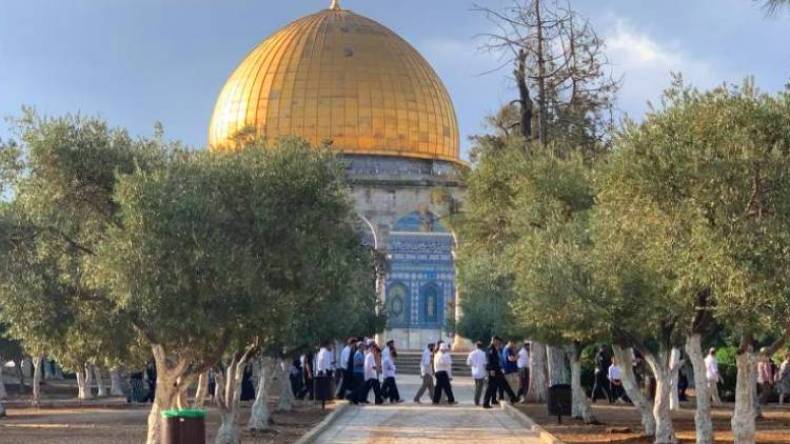 شاهد.. مئات المستوطنين يقتحمون الأقصى