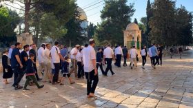 عشرات المستوطنين يقتحمون الأقصى (فيديو)