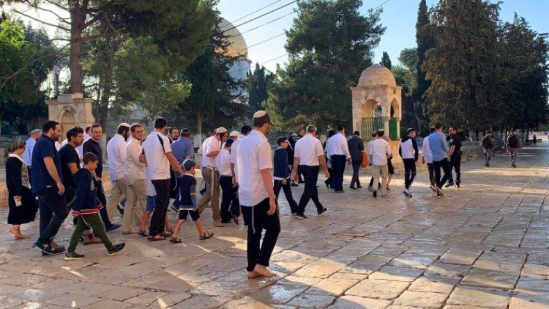 عشرات المستوطنين يقتحمون الأقصى (فيديو)