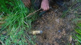 العثور على ألغام ترجع للحقبة الاستعمارية في سوق أهراس