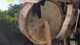 إيطاليا تصادر 14 طناً من الأمفيتامين المصنع من قبل “داعش”