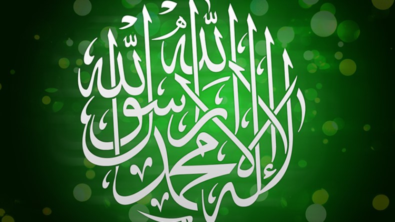 الردّ المأمول على المسيئين إلى مقام الرسول