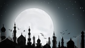 ولا يزالون مختلفين
