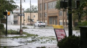 الإعصار سالي يضرب ألاباما الأمريكية (فيديو)