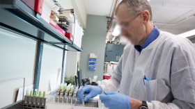 ربع مليون “دماغ جزائري” يتحصل على الجنسية بالخارج!