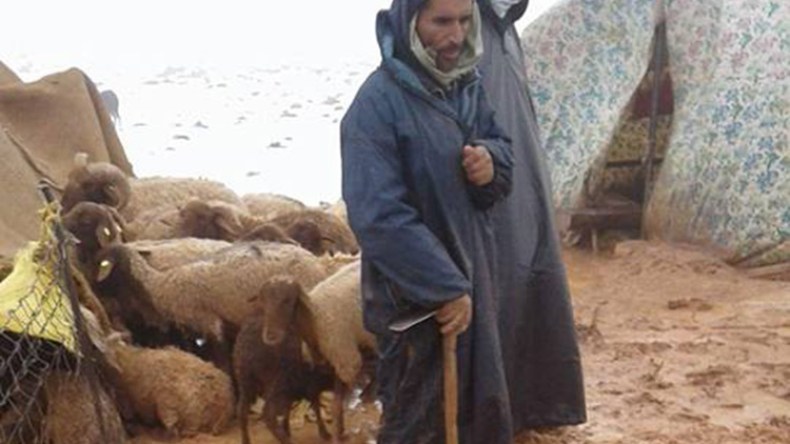 الأودية والأوحال تحاصر 40 فردا من سكان البدو الرحل منذ أيام بالجلفة