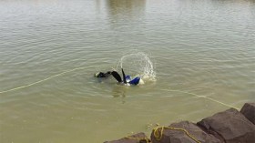 “بِرك الموت” و”زهايمر” المسؤولين!