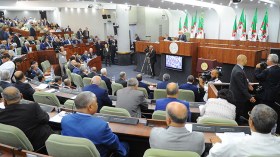 عركة الضراير!