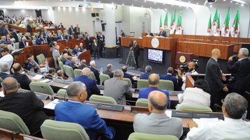 عركة الضراير!