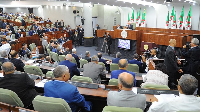 عركة الضراير!