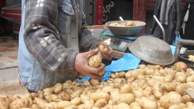 سعر البطاطا غير منطقي وسينخفض قريبا