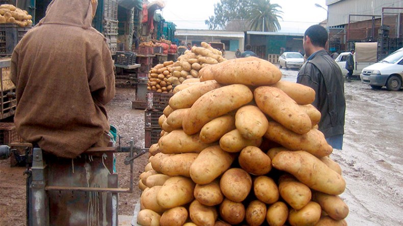 “مافيا” تهيمن على سوق البطاطا