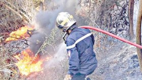 مسلسل الحرائق يتواصل ويلتهم أكثر من 15 هكتارا أخرى بالبويرة