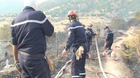 حريق يلتهم 5 هكتارات من ممتلكات سكان قرية الصوادق بعمر محطة