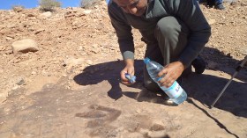 الكارثة.. آثار ديناصورات نادرة عرضة للإتلاف بالبيّض