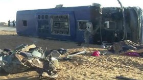 جمل يتسبب في حادث مرور قاتل بالبيّض