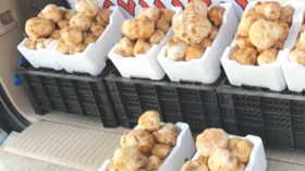 صاحب شركة لتصدير “الترفاس” يهرب العملة الصعبة إلى الخارج