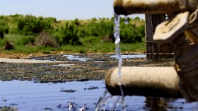 لهذه الأسباب أخفقت الجزائر في معركة الأمراض المعدية