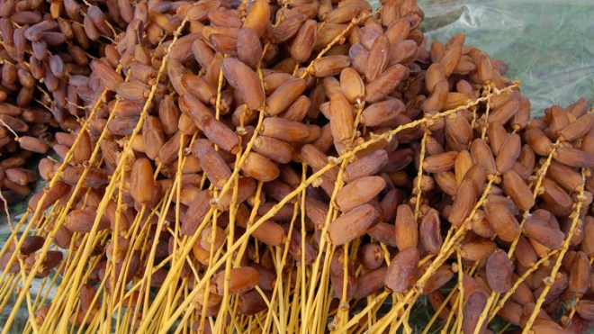 السفارة السعودية بالجزائر تسلم 350 ألف طن من التمور لمكتب الغذاء