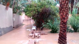 تدهور الواحة القديمة بالقرارة يرهن إنتاج 70 ألف طن من التمور