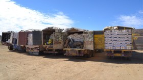 حجز سيارتين ومواد غذائية مهربة بعين قزام