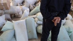 حجز 50 قنطارا من التبغ غير المرخص بمدوكال بباتنة