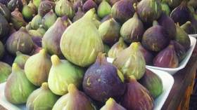 التين يصل عتبة 400 دج للكلغ لأول مرة بأسواق البويرة