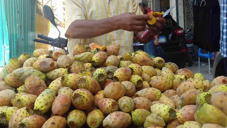 التين الشوكي.. فاكهة الفقراء التي تسيل لعاب الأثرياء!