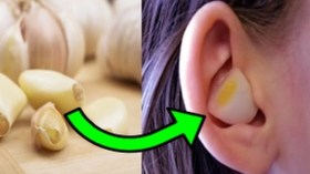 ضع فصا من الثوم في أذنك.. والسبب؟