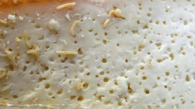 حجز طنين من الجبن الفاسد موجه للبيع ببومرداس