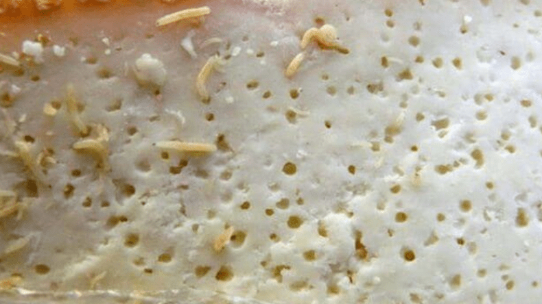 حجز طنين من الجبن الفاسد موجه للبيع ببومرداس