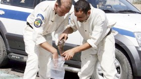 سفاح يقتل ثلاث نساء بمشاركة عائلته