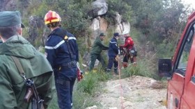 غابات الجزائر.. من فضاءات للترفيه إلى ساحات للجرائم