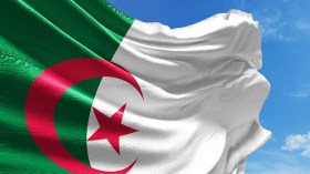 سلم الشجعان!