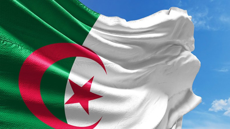 سلم الشجعان!