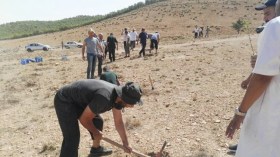 انطلاق حملة مبكرة لغراسة 1500 شجيرة من الأرز الأطلسي