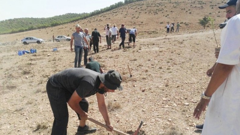 انطلاق حملة مبكرة لغراسة 1500 شجيرة من الأرز الأطلسي