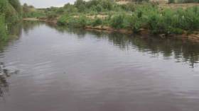 إعادة بعث مشروع تحويل مصب مياه التطهير للبيرين بالجلفة قريبا