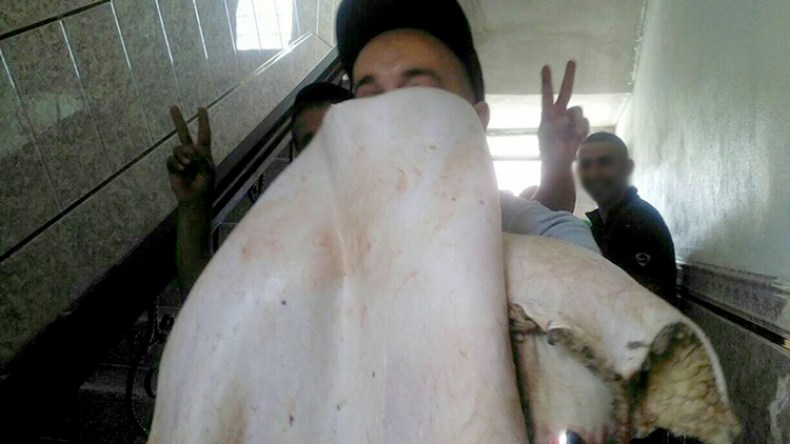 ظاهرة مسح الوجوه بجلود الأضاحي تثير الجدل وسط الجزائريين